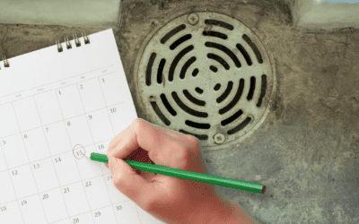 How Often Should Sewer Lines Be Cleaned – Maintenance Advice