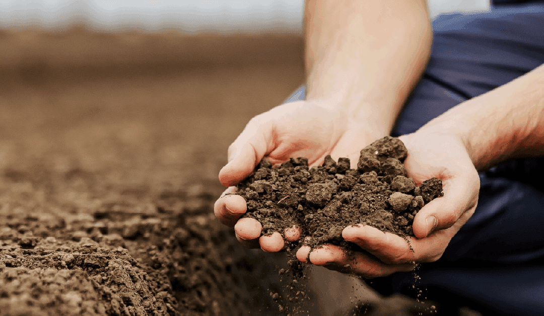 How Soil Type Affects Your Septic System