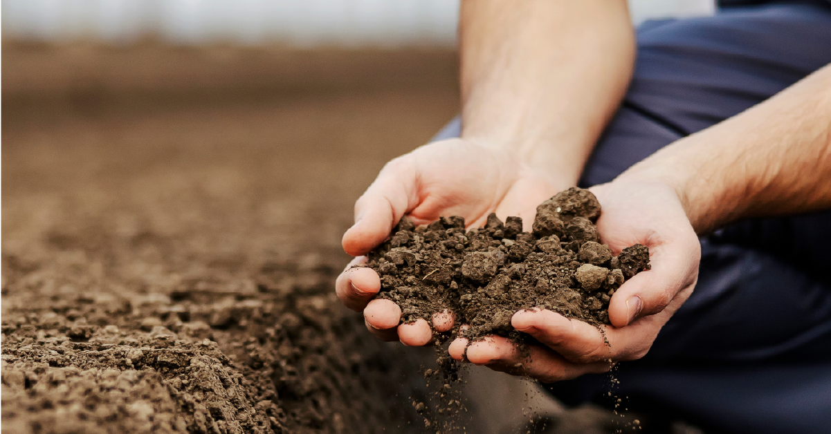 Soil Type for Septic Systems