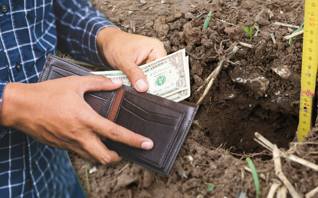 How Much Does a Perc Test Cost? Budget Breakdown