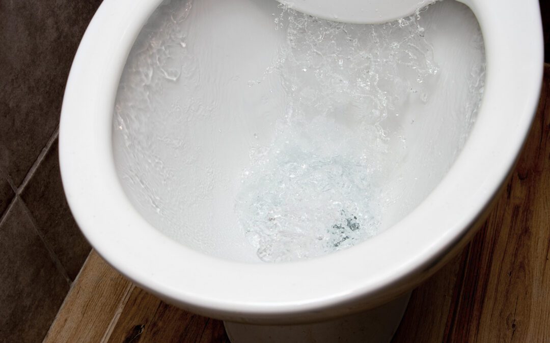 Why Is My Toilet Bubbling? Common Causes and Fixes