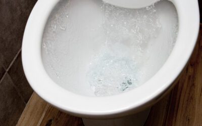 Why Is My Toilet Bubbling? Common Causes and Fixes